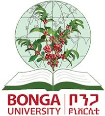 Bonga University